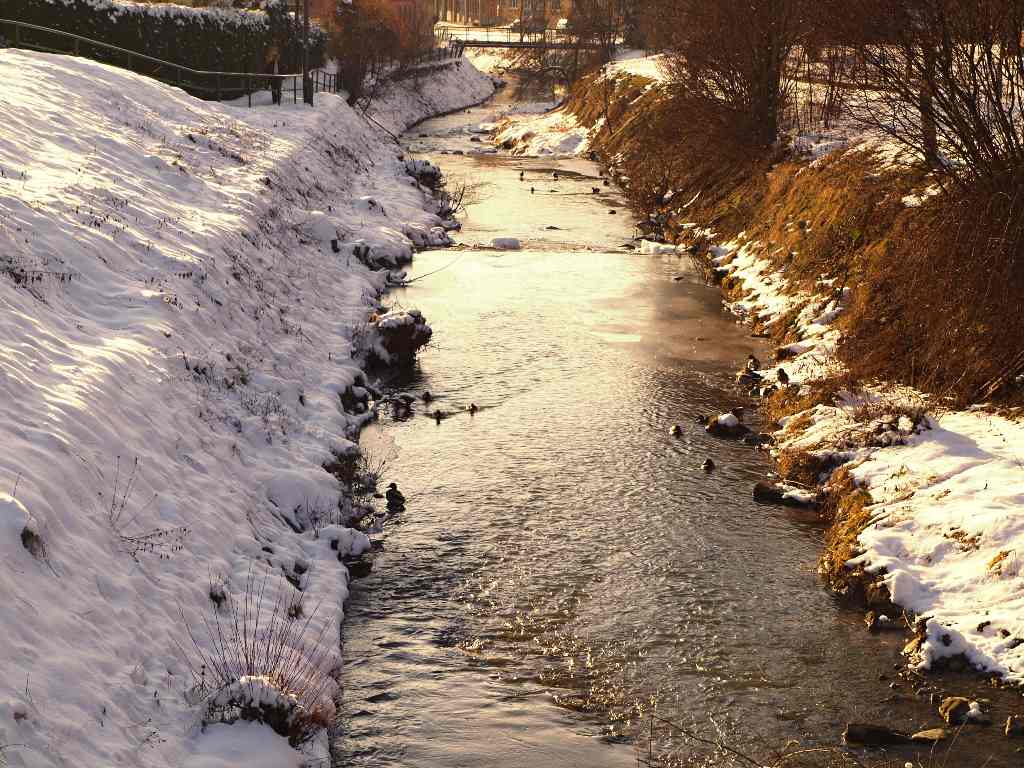 Olšava