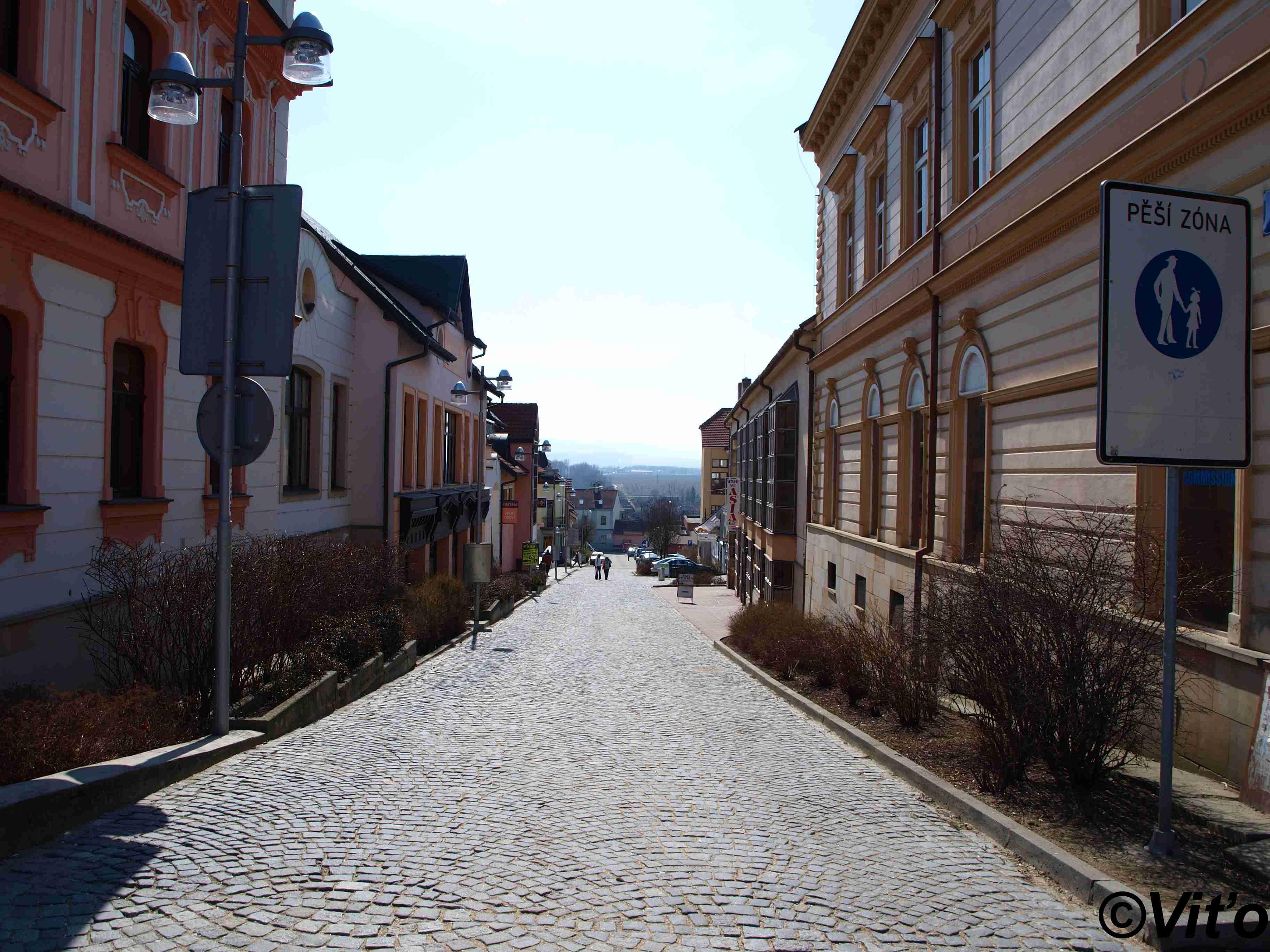 P3212234.jpg